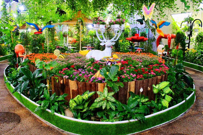 Butterfly-Garden-Dubai-3