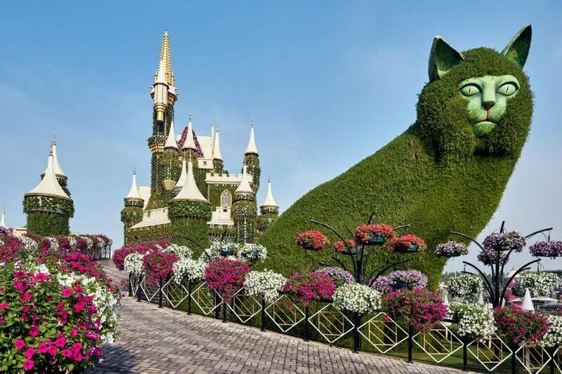 SW5KROTU-Dubai-Miracle-Garden-10-1200x800-1